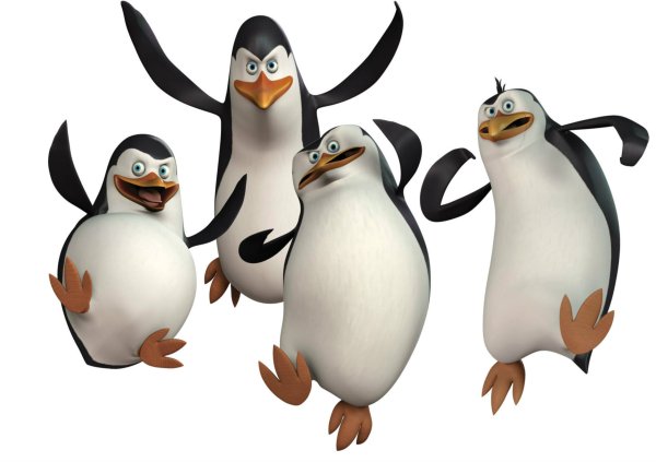 Пингвины из Мадагаскара Джиа