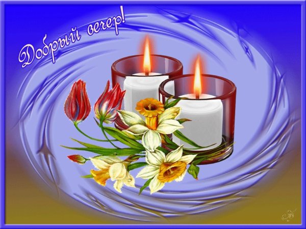 Добрый вечер