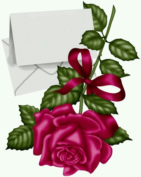 Конверт с изображением цветов