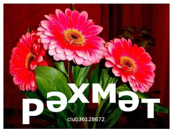 Поблагодарить на татарском языке