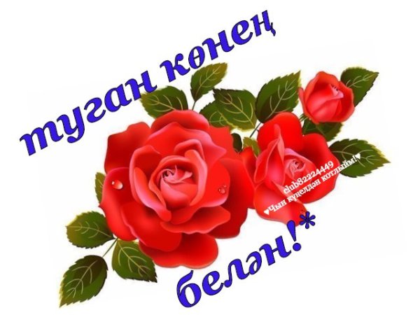 Бэхет телим картинки прикольные