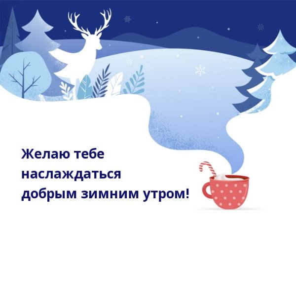 Зимнее утро вторника