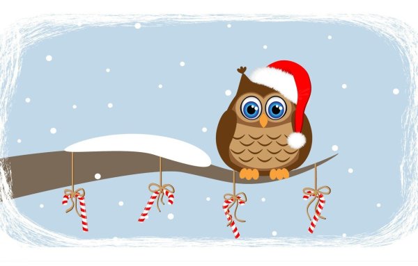 Совы новый год