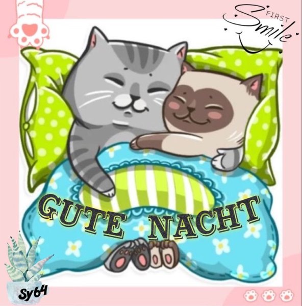 Стикеры для ватсап котики