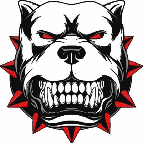 Клан медведя