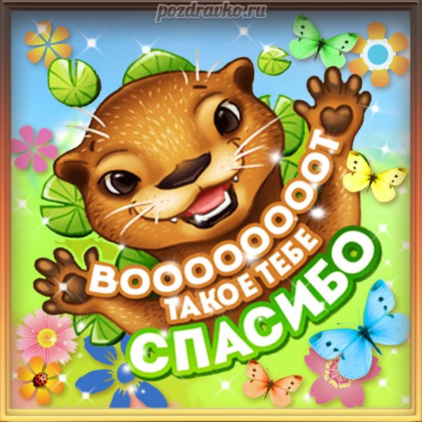 Благодарю за поздравления