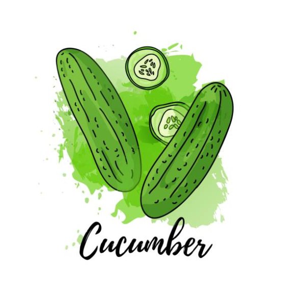 Этикетка cucumber вектор