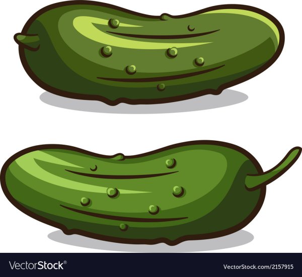 Огурец вектор для детей