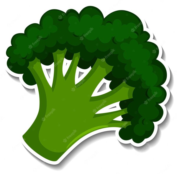 Брокколи вектор