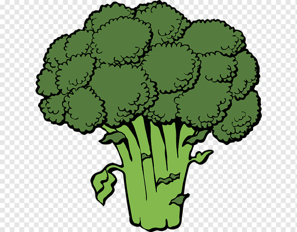 Брокколи клипарт