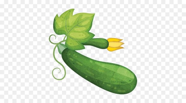 Огурец для презентации