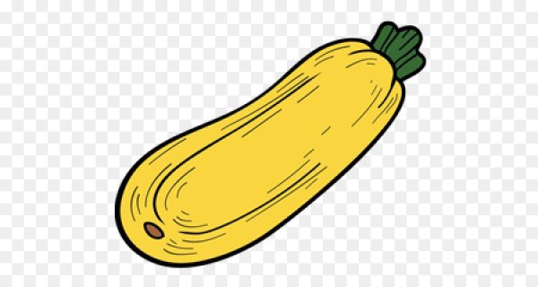 Кабачок клипарт