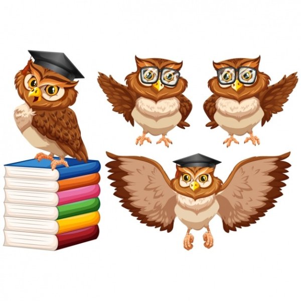 Сова символ знаний