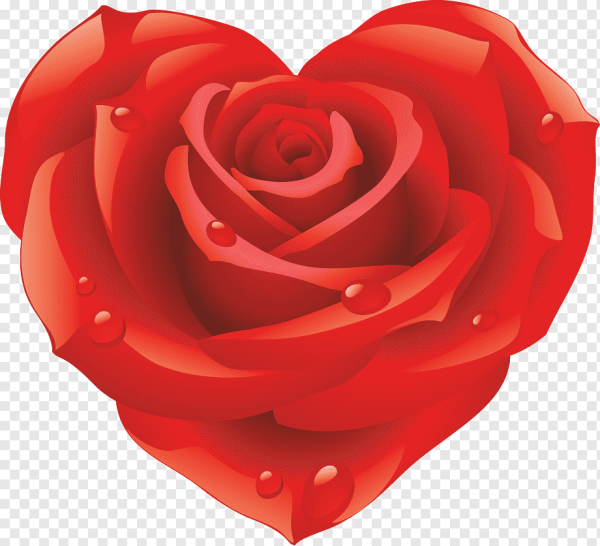 Розы в форме сердца