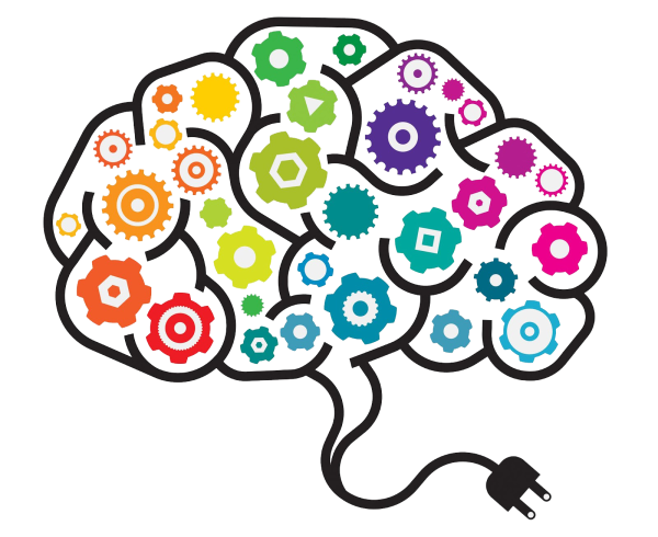 Мозг мышление