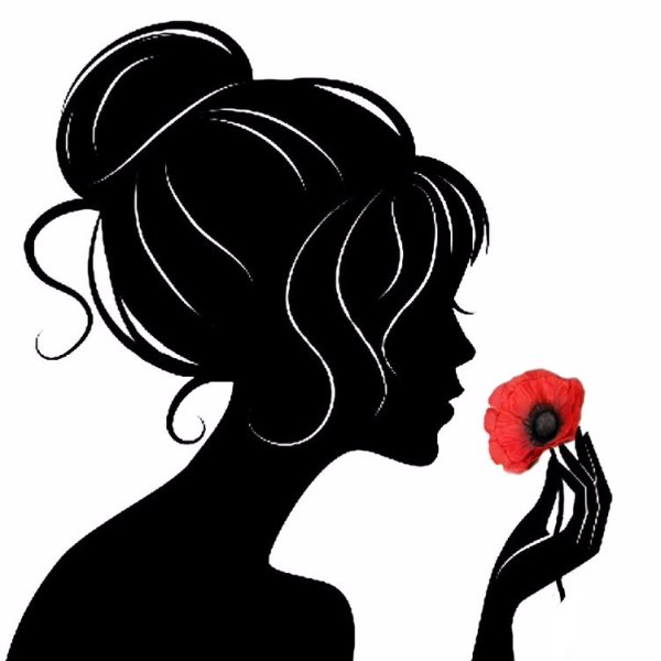 Новогодний кот картинки