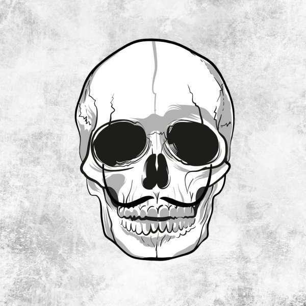 Череп черно белый