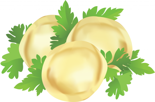 Пельмени вектор