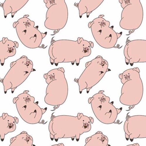 Много свинок