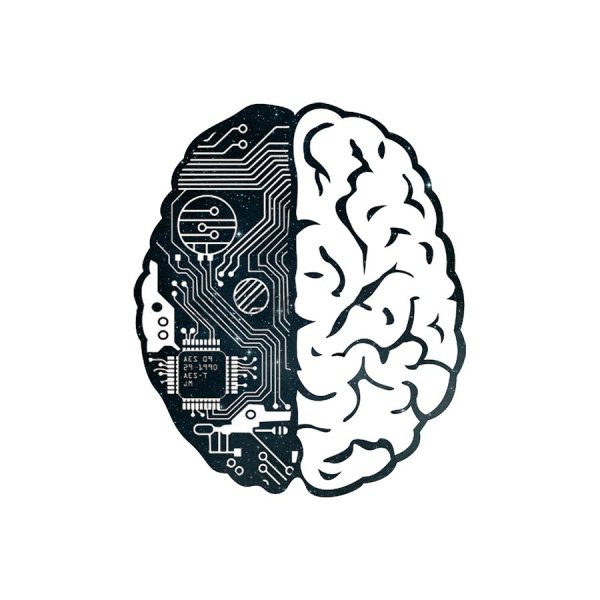 Мозг на стене