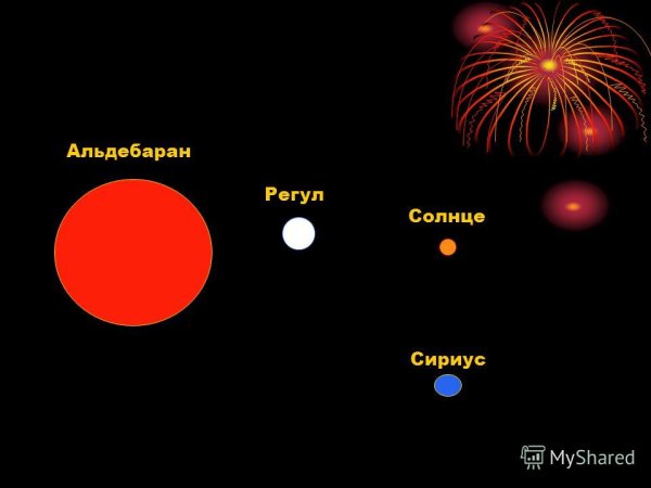 Стикер "коты"