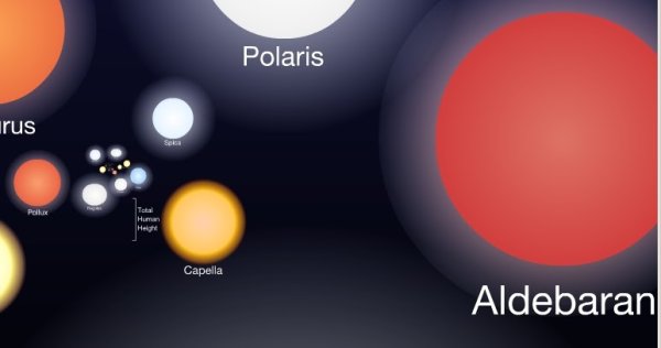 Созвездие тельца расположение звезд