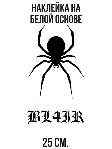 Паук без фона