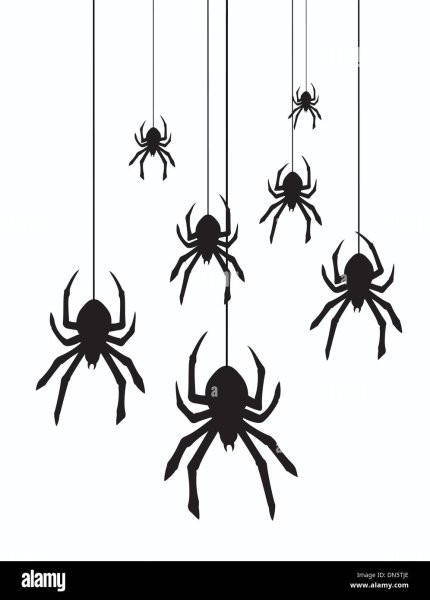 Жёпка паук стикер