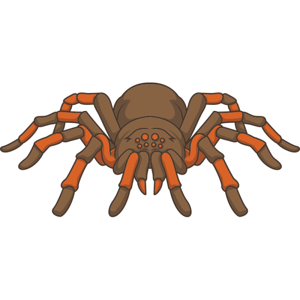 Паучки для Хэллоуина для детей