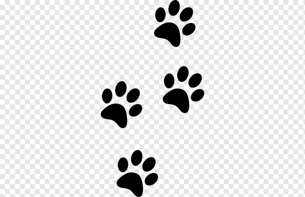 След собаки