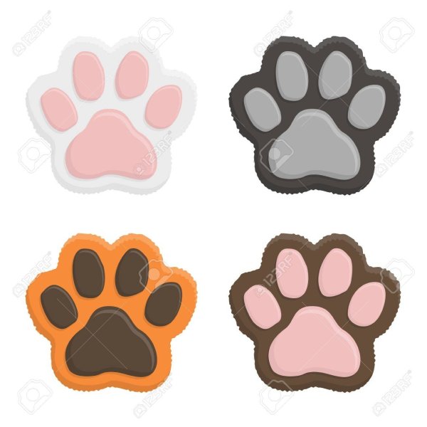 Лапка котика