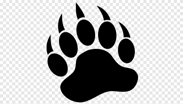 Отпечаток лапы белого медведя