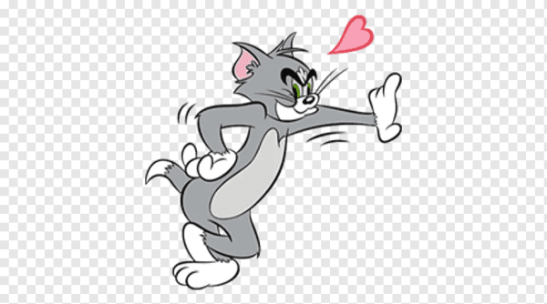 Кот том на прозрачном фоне