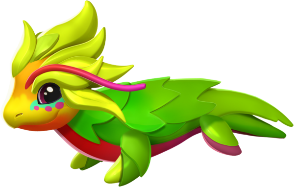 Дракономания дракон питайя