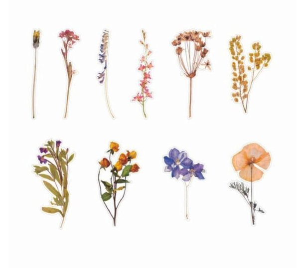 Bullet Journal шаблоны