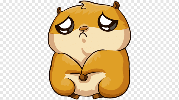 Стикеры котики для ватсапа