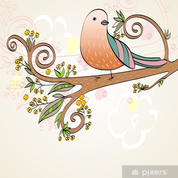 Райские птички мультяшные