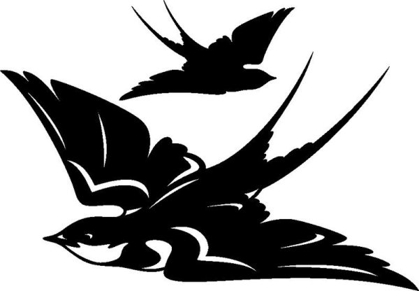 Ласточка Графика силуэт