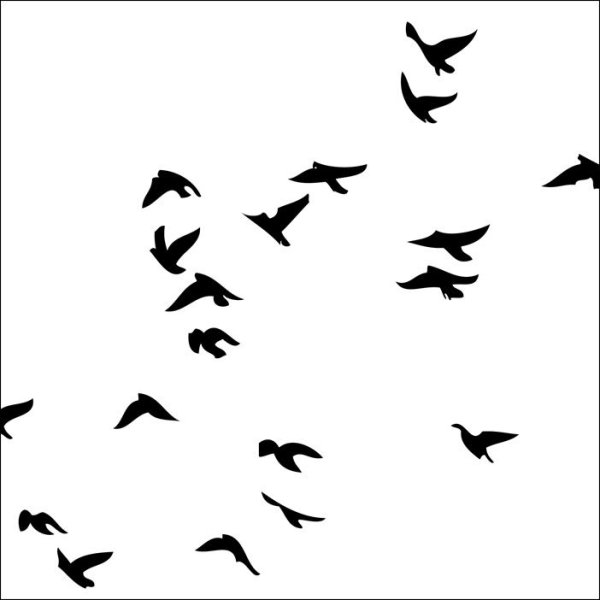 Стая птиц силуэт