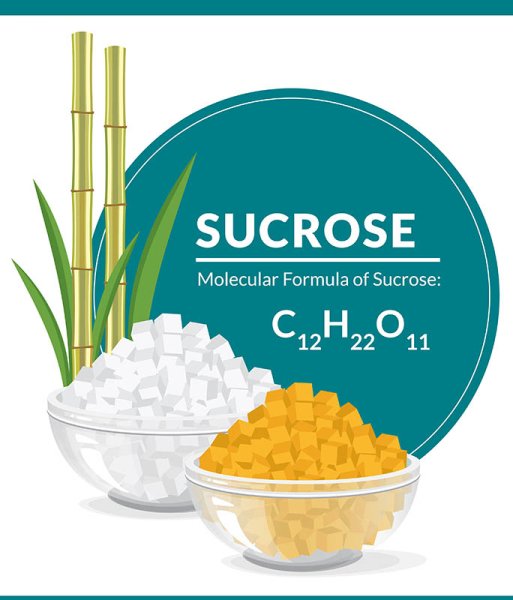Sucrose Formula