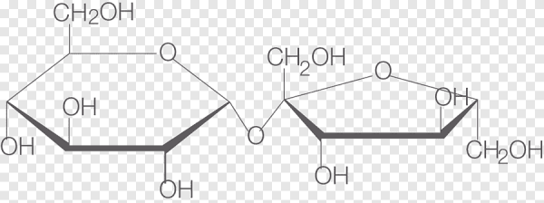 Структурная формула молекулы сахарозы