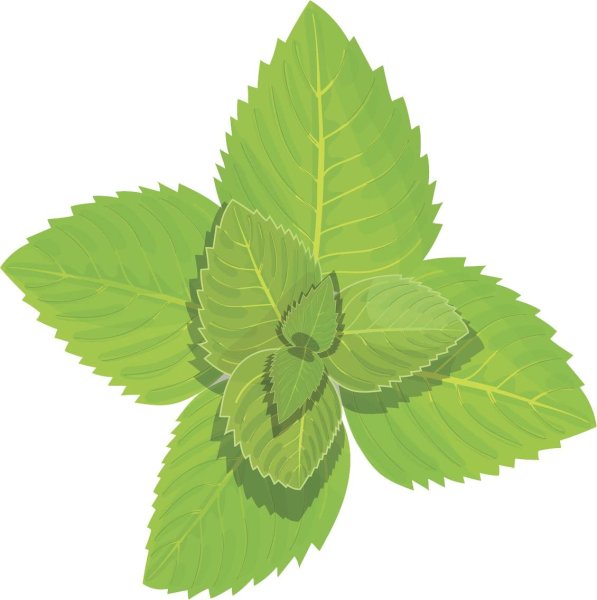 Мятный листик