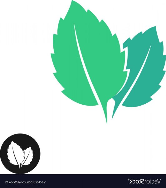 Минт Стикеры