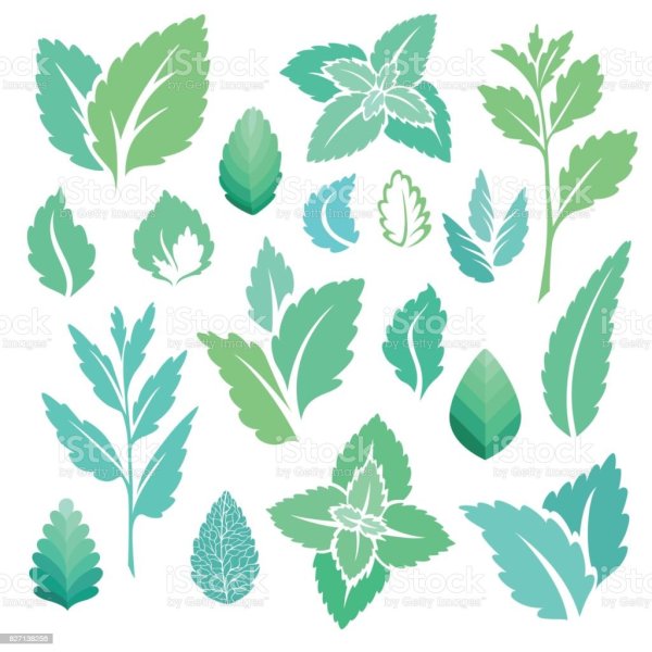 Минт Стикеры