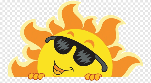 Выглянуло солнце