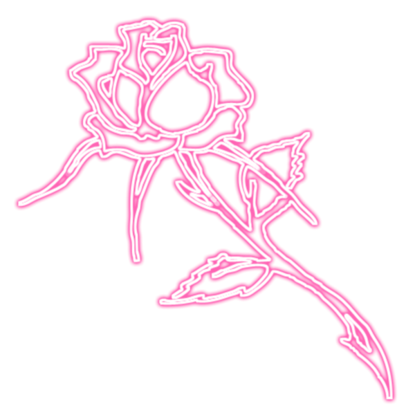 Неоновые цветы на прозрачном фоне