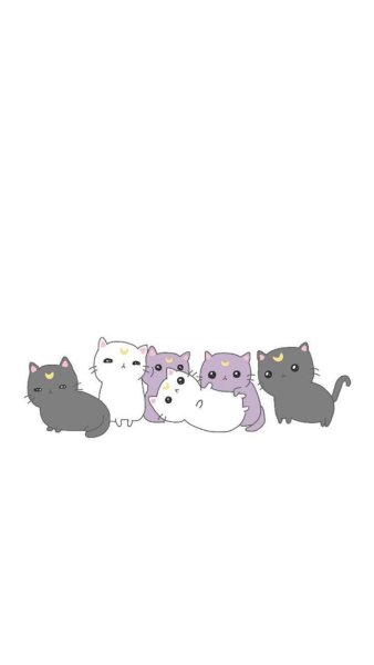 Милые котики на прозрачном фоне