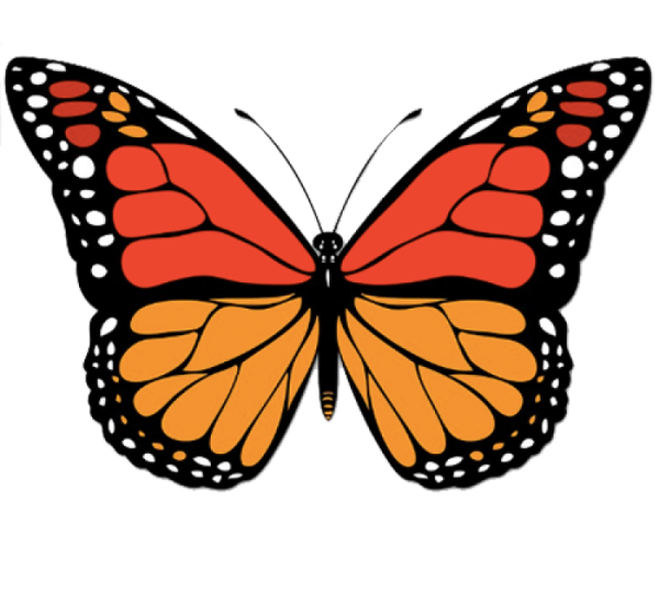 Буква б бабочка