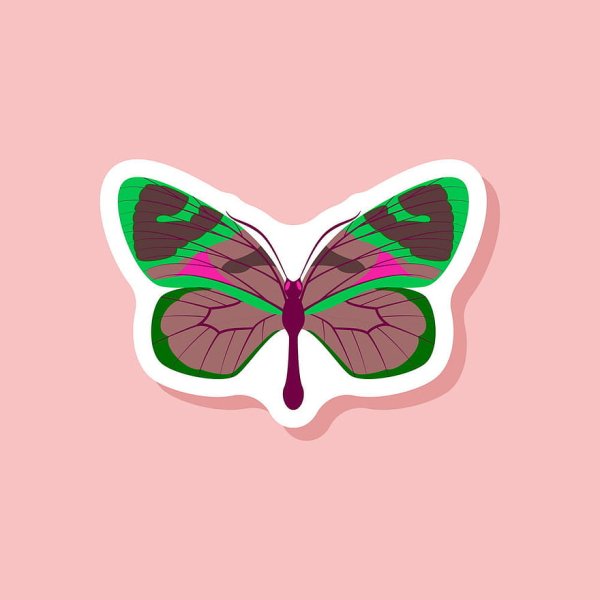 Изолированный объект бабочка