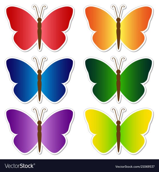 Виды бабочек рисунки